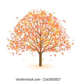 Autumn leaves autumn tree icon