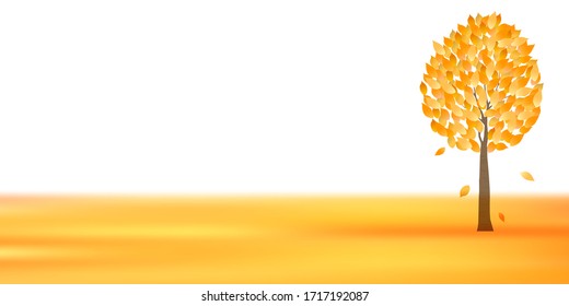 Autumn leaves tree maple background