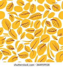 Autumn leaves of trees on a white background