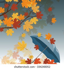 Autumn leaves and umbrella. Vector