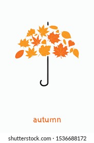 Autumn leaves umbrella. Vector isolated set of maple leaves, oak and other leaves. Autumn banner, vector illustration. For seasonal holiday greeting card design