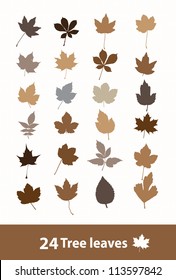 autumn leaves (vector) 2 color