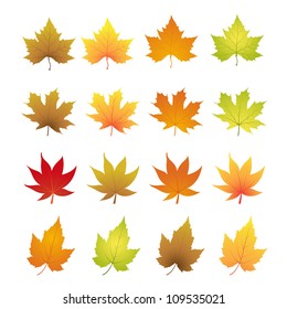 autumn leaves vector