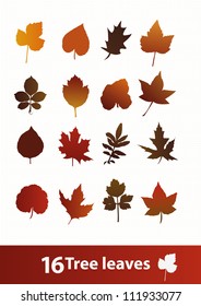 autumn leaves (vector)