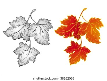 Autumn leaves vector