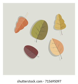 autumn leaves, vector