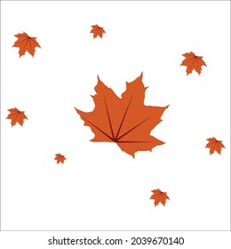 autumn leaves vector abstract frame