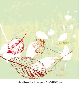 autumn leaves vector background or banner