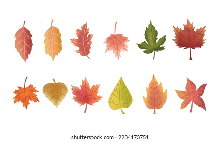 autumn leaves vector bundle set design illustration for ecology resources