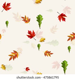 Autumn leaves vector collection isolated in cartoon style. Beautiful colorful leaves different type on autumn season.