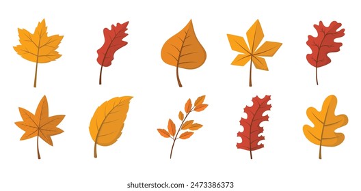 Autumn Leaves Vector Collection Set