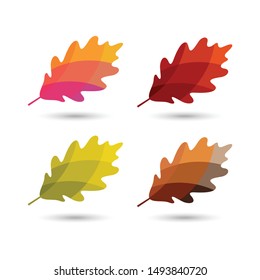 autumn leaves vector with colorful styles,oak leaf with autumn color schemes. autumn design element.