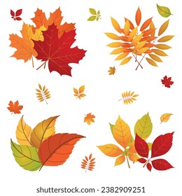Autumn Leaves Vector, Creative and Realistic Autumn Leaves Design