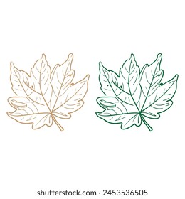 Autumn Leaves Vector Drawing Line Art