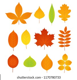 Halloween Pumpkin Icon Vector Autumn Symbol Stock Vector (Royalty Free ...