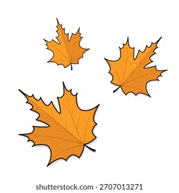 Hojas de otoño Vector Icono Ilustración