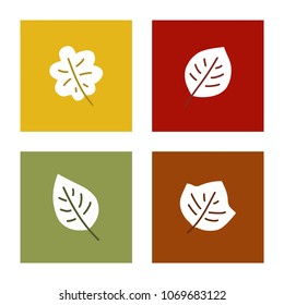 Autumn leaves, vector icon set