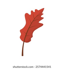 Autumn Leaves Vector Illustration - 02