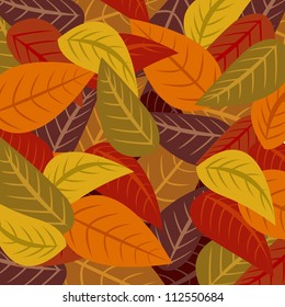 Autumn leaves vector illustration