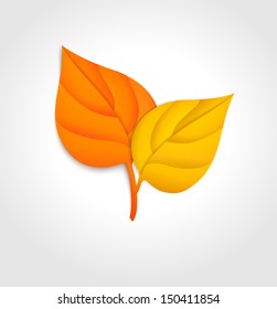 Autumn leaves. Vector illustration.