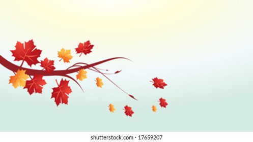 Autumn leaves vector illustration
