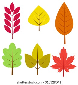 Autumn leaves vector illustration