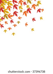 Autumn leaves vector illustration