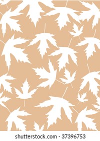 Autumn leaves vector illustration