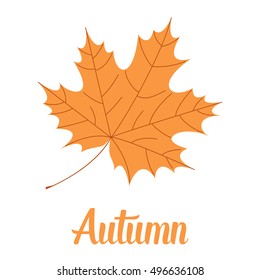 Autumn leaves. Vector illustration.