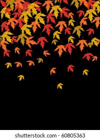 Autumn leaves vector illustration