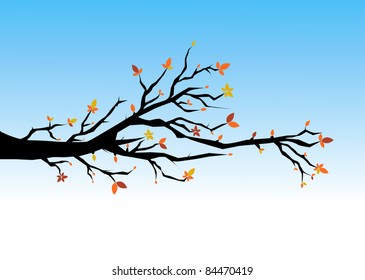 Autumn leaves vector illustration