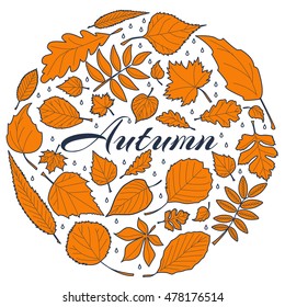 Autumn leaves vector illustration. Background with line art autumn leaves