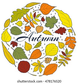 Autumn leaves vector illustration. Background with line art autumn leaves