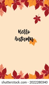 Hojas de otoño. Ilustración vectorial con espacio de copia Hojas de arce rojas, anaranjadas y amarillas sobre fondo beige. Diseño plano