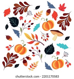 Autumn leaves, vector illustration. Design with pumpkin, yellow, orange, red, blue, autumn leaves, autumn themes.. botanical illustration