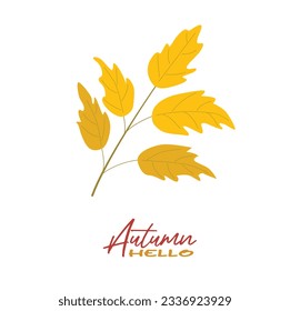 Autumn leaves vector illustration.  Autumn leaves design template for decoration, sale banner, advertisement, greeting card and media content. Autumn concept. Flat vector isolated on white.
