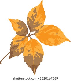 autumn leaves vector illustration design