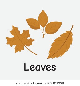 Autumn Leaves Vector Illustration for Fall Season