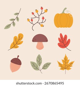 Autumn Leaves Vector Illustration – Fall Season Foliage