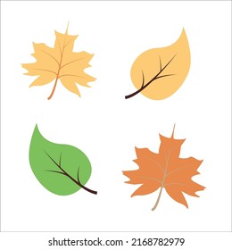 Herbstlaub. Vektorgrafik einzeln auf weißem Hintergrund.