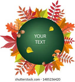 Autumn leaves vector illustration with round frames for sale, banner, postcard, invitation. Concept autumn advertising.