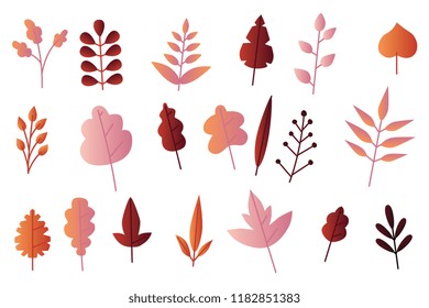 Autumn leaves vector illustration set in flat style isolated on white background. Various bright fall plant foliage - floral decorative elements for seasonal natural design.