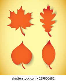 Autumn leaves. Vector illustration. Set