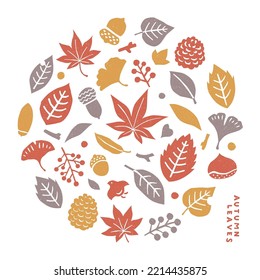 Autumn leaves vector illustration set.autumn nature, leaves and plants collection.
