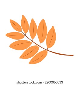 Autumn Leaves Vector Illustration. Autumn leaves. Top view of fall tree leaf. Flat vector.