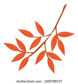 Autumn Leaves Vector Illustration. Autumn leaves. Top view of fall tree leaf. Flat vector.