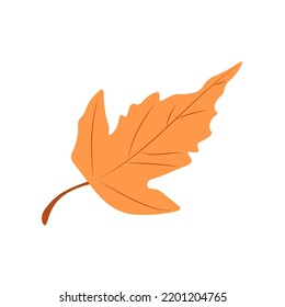 Autumn Leaves Vector Illustration. Autumn leaves. Top view of fall tree leaf. Flat vector.