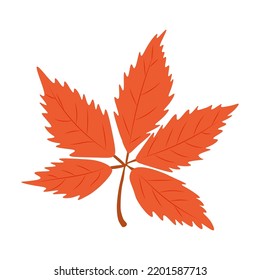 Ilustración vectorial de hojas de otoño. Hojas de otoño. Vista superior de la hoja del árbol de otoño. Vector plano.