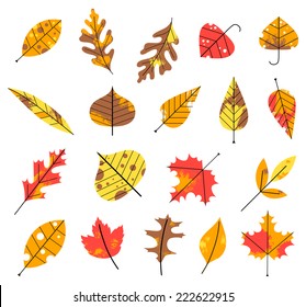 Autumn Leaves - Vector illustration of various Autumn leaves.  File is layered and uses global colors for easy editing.  Textures can be removed.
