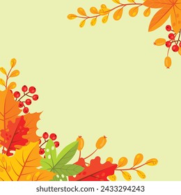 Autumn leaves, vector illustration White Background